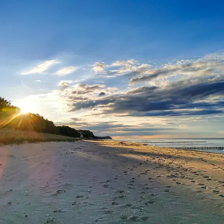 Xxl In Heringsdorf (Usedom)